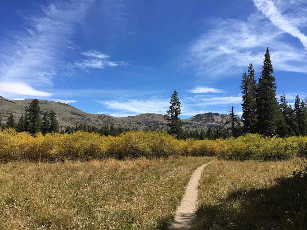 One of many small meadows in the Upper Truckee Basin