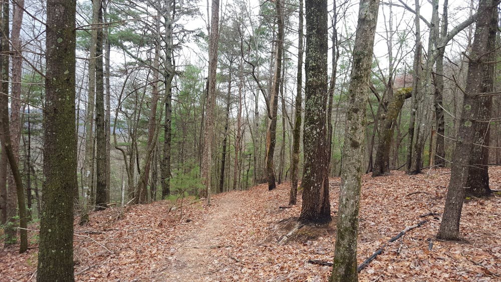 Photo from Pinhoti Trail: Dennis Mill Road to Mulberry Gap