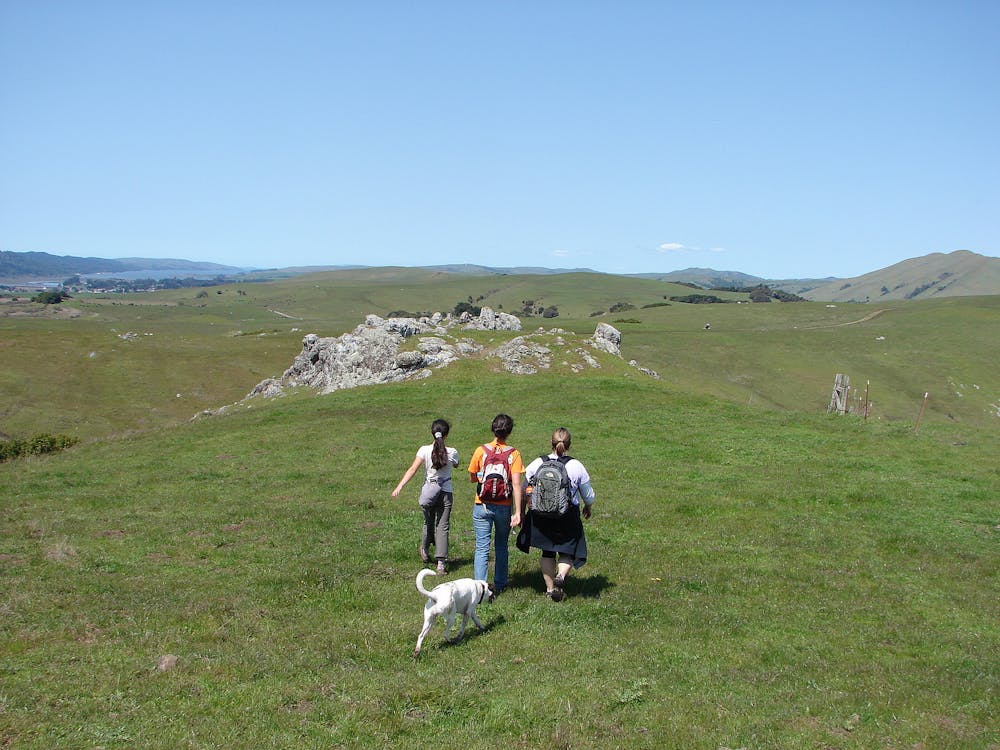 Hikers along an open stretch of Bolinas Ridge