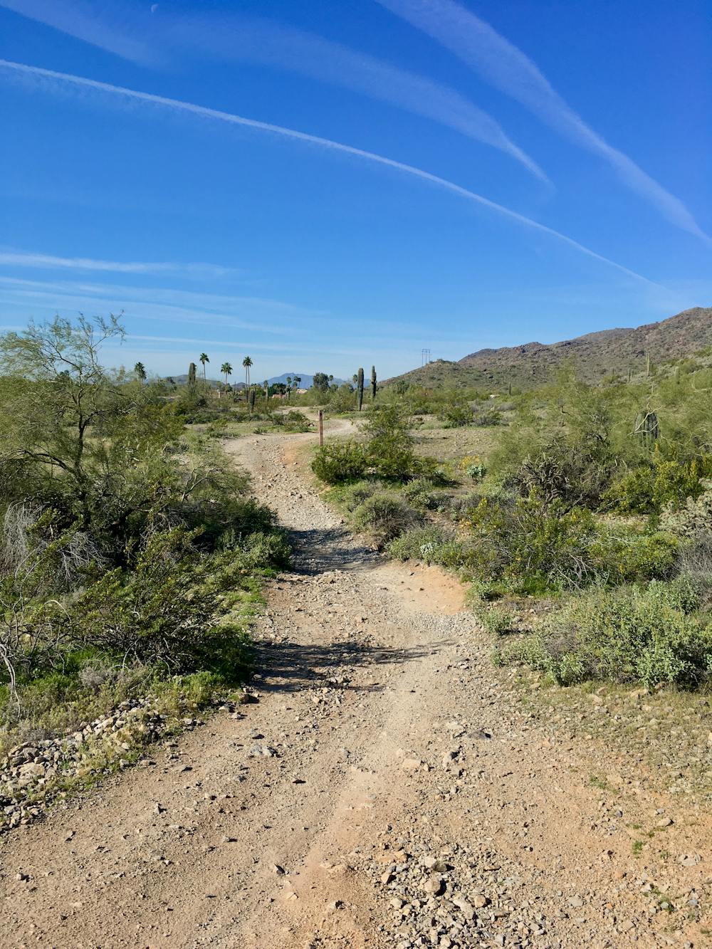 Photo from Desert Classic Trail