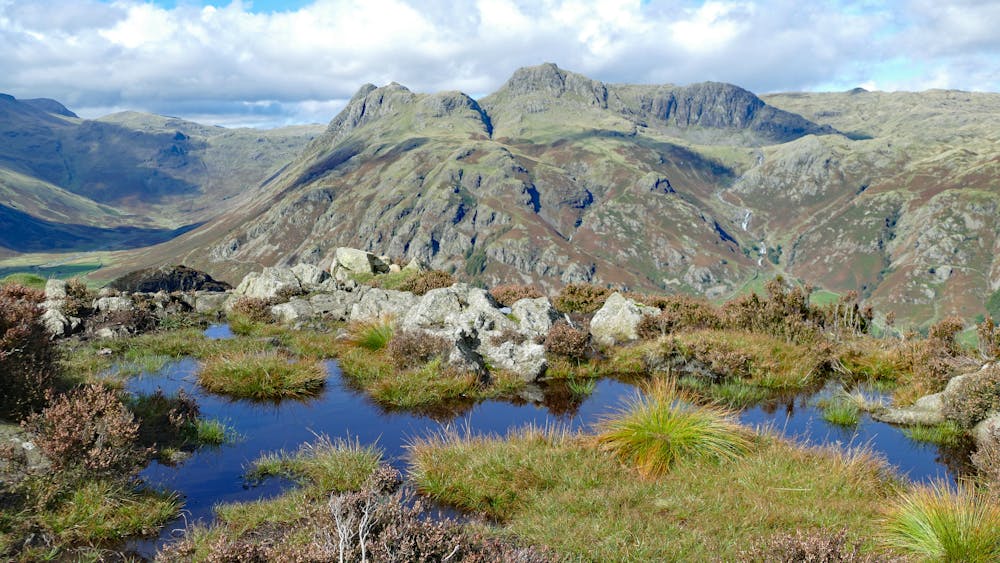 The Langdale Pikes From Lingmoor Fell