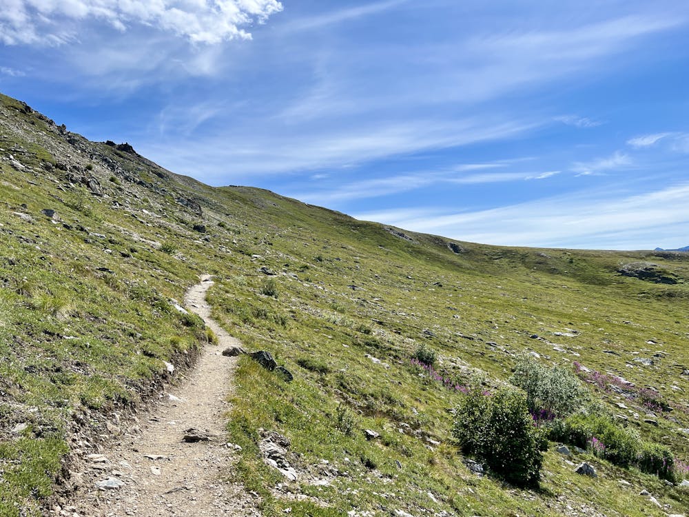 Photo from Savage Alpine Trail