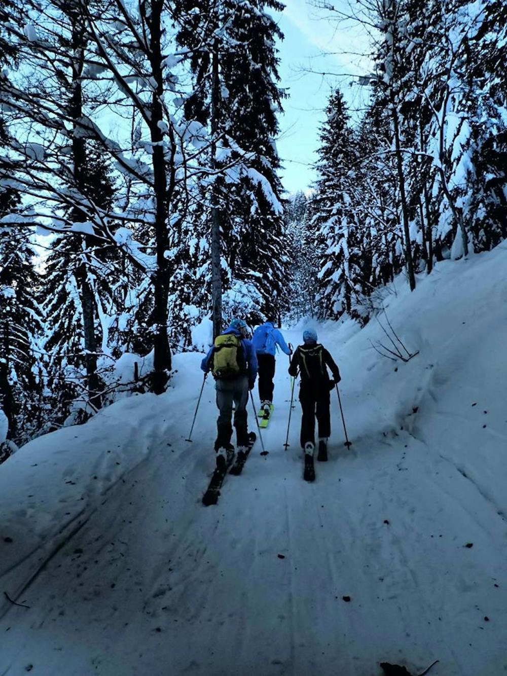Skinning up the track in the forest towards the Môle.