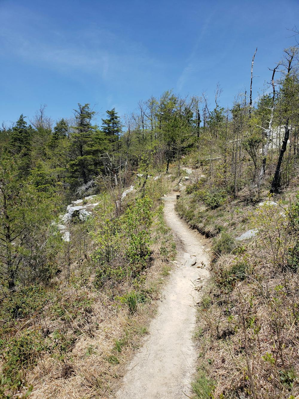 Photo from Mountains to Sea Trail: Mitchell to NC-181