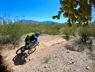 Ride the Sonoran Desert on Tucson’s 10 Best MTB Trails