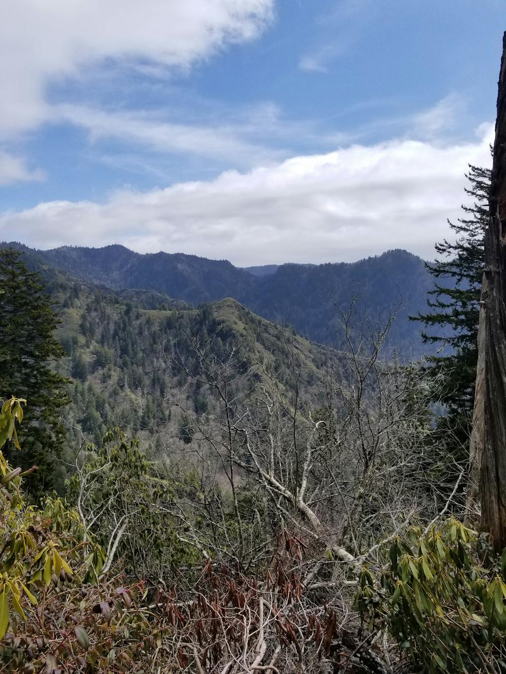 Photo from Mount LeConte via Alum Cave