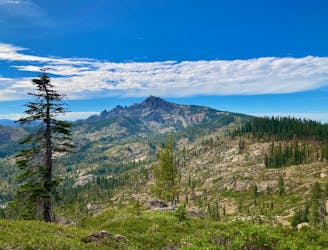 Run the Rugged Trails of California’s Lost Sierra