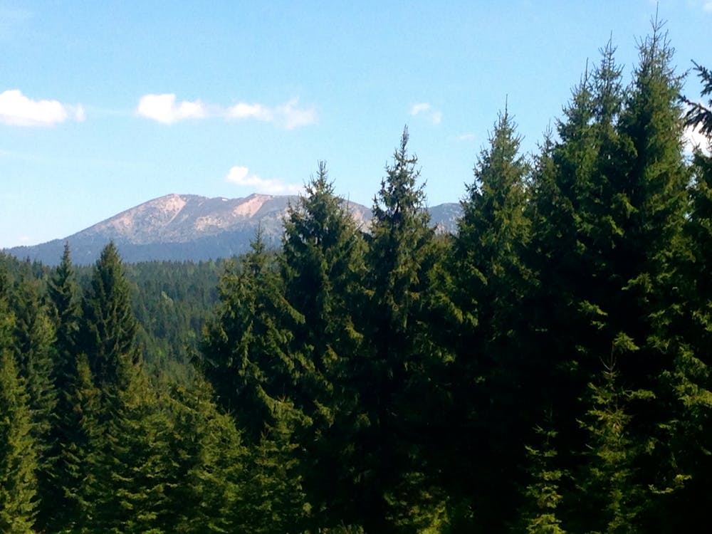 Blick zum Hauptkamm der Niederen Tatra