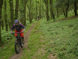 Exmoor Porlock ride