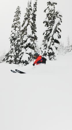 First Tracks Guaranteed: Whistler Edition