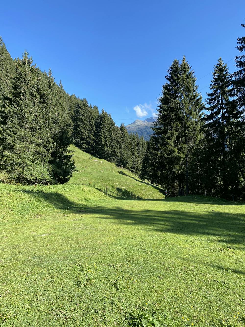 Photo from Hike Klosters - Selfranga - Schwarszee - Klosters
