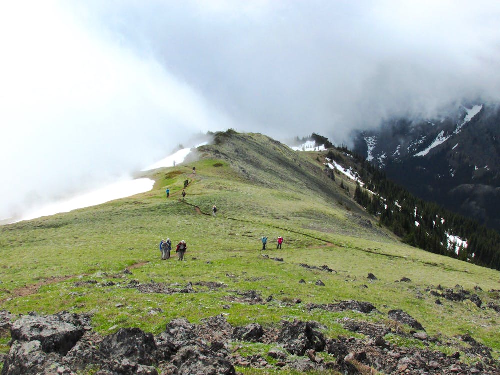Mount Townsend, Olympic National Park