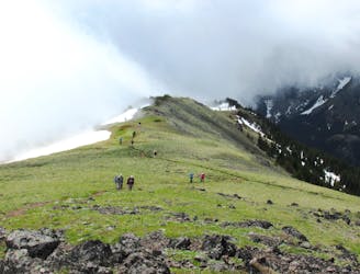 Mount Townsend Trail