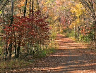 Tyler State Park: Loops A - D