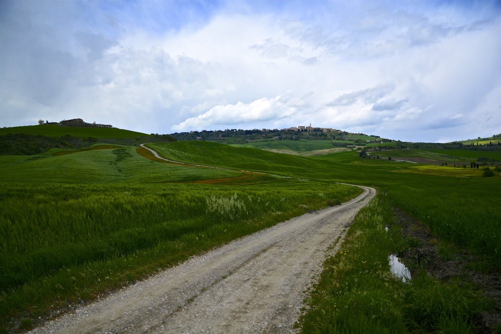 White road to Pienza, Val d'Orcia