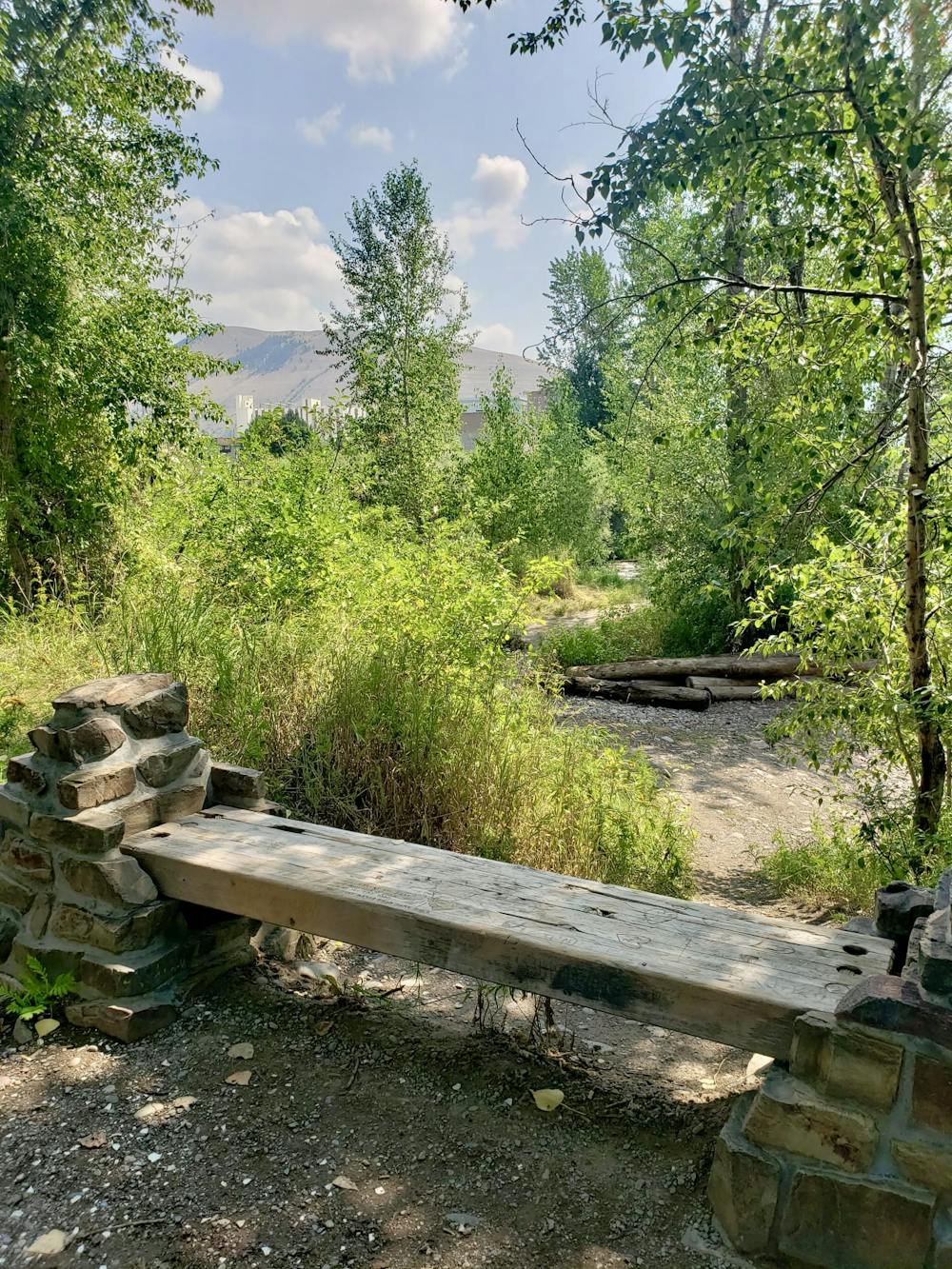 A slice of nature with the city behind, Clark Fork Natural Park