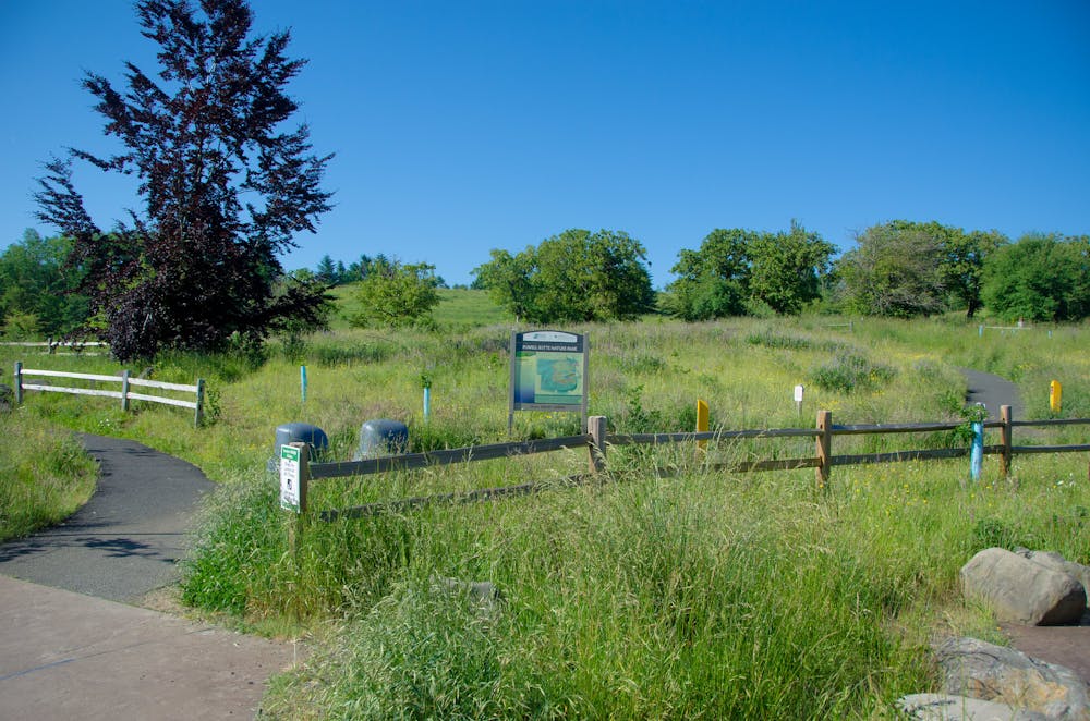 Meadow and trees atop Powell Butte