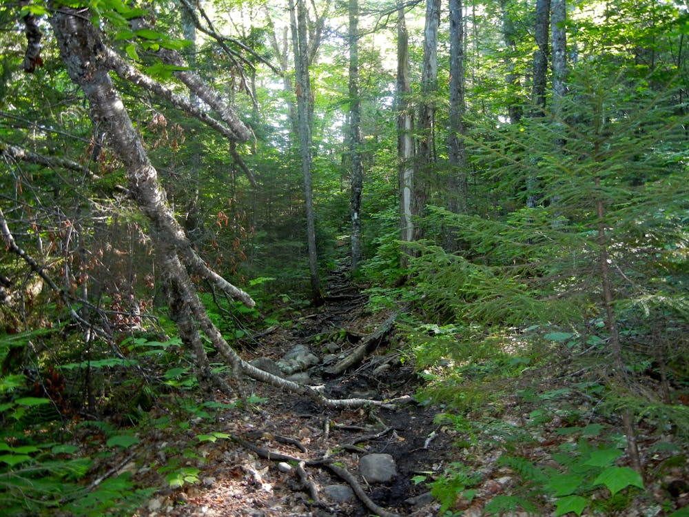Photo from Appalachian Trail: Spectacle Pond to Katahdin Stream Campground