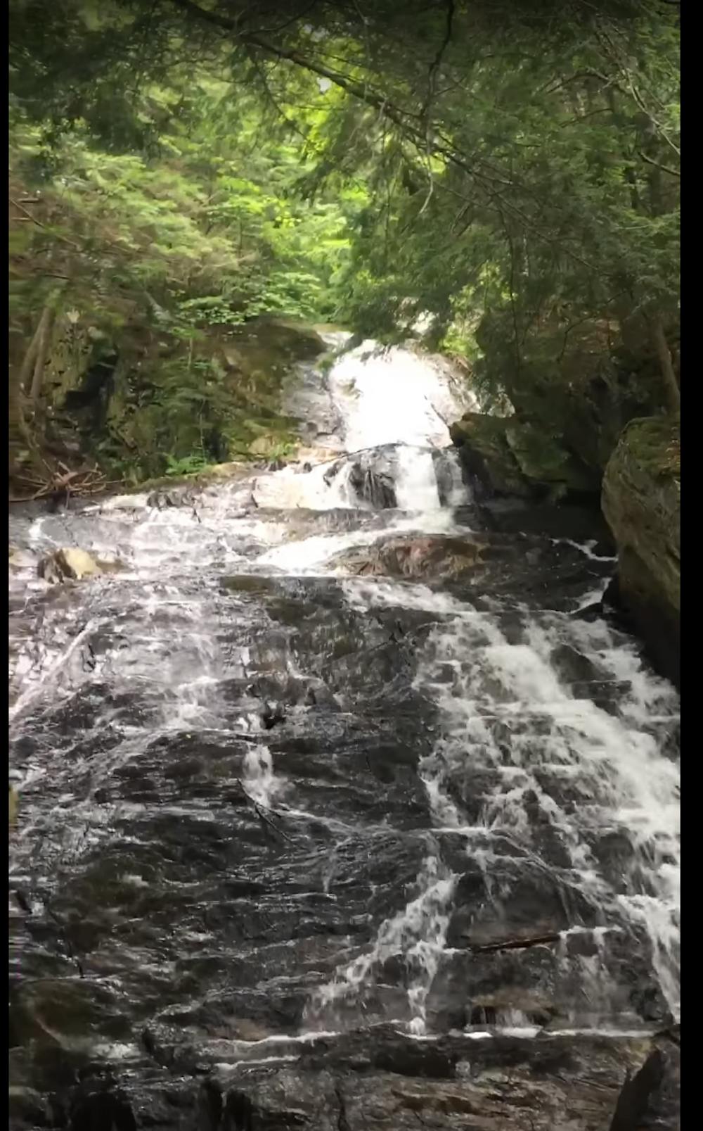 Photo from Thundering Falls Trail - Vermont VT