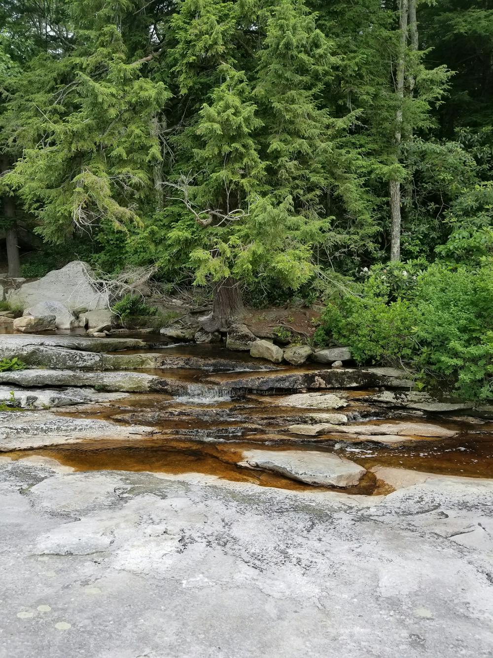 Photo from Rainbow Falls / Castle Point Loop