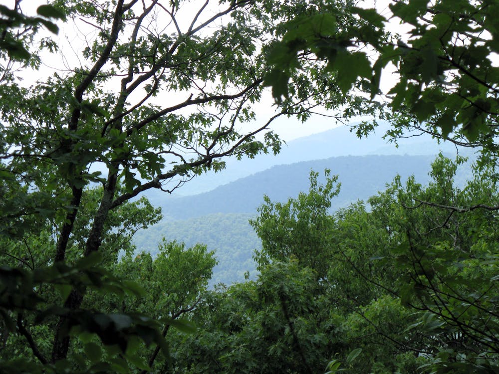 Springer Mountain Appalachian Trail Views