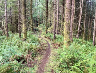 Wilder Trails