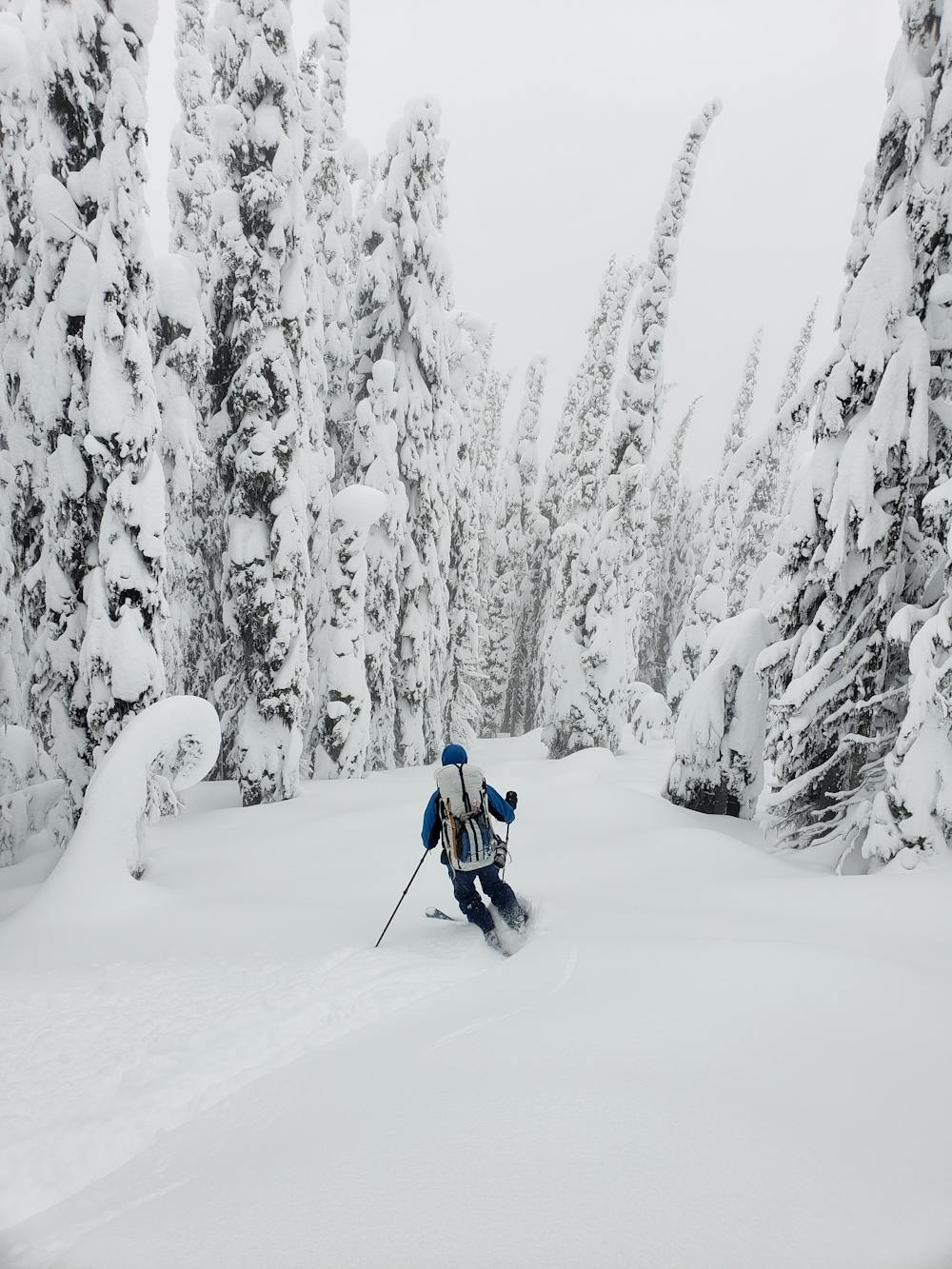 Great skiing in the trees