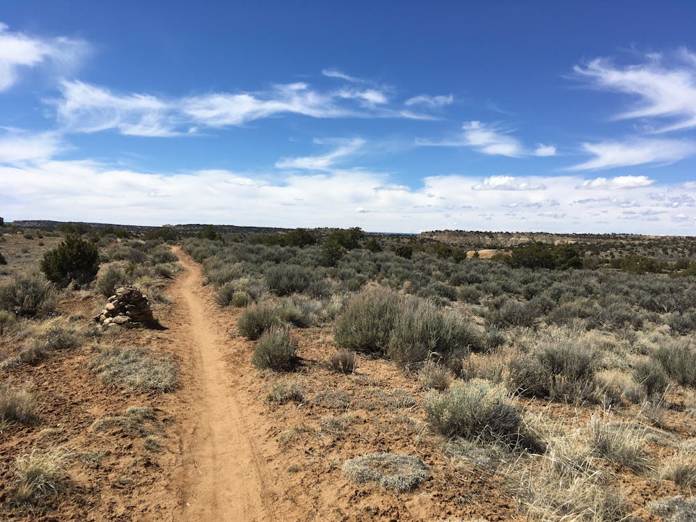 Photo from High Desert Trail System
