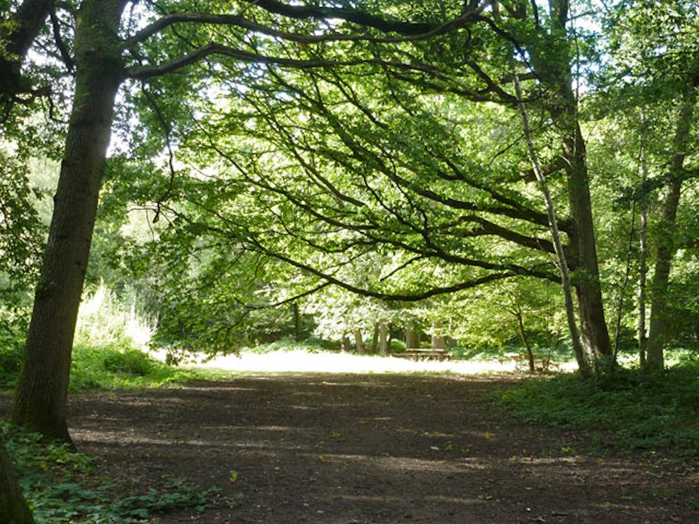 Photo from Bayhurst Wood Country Park