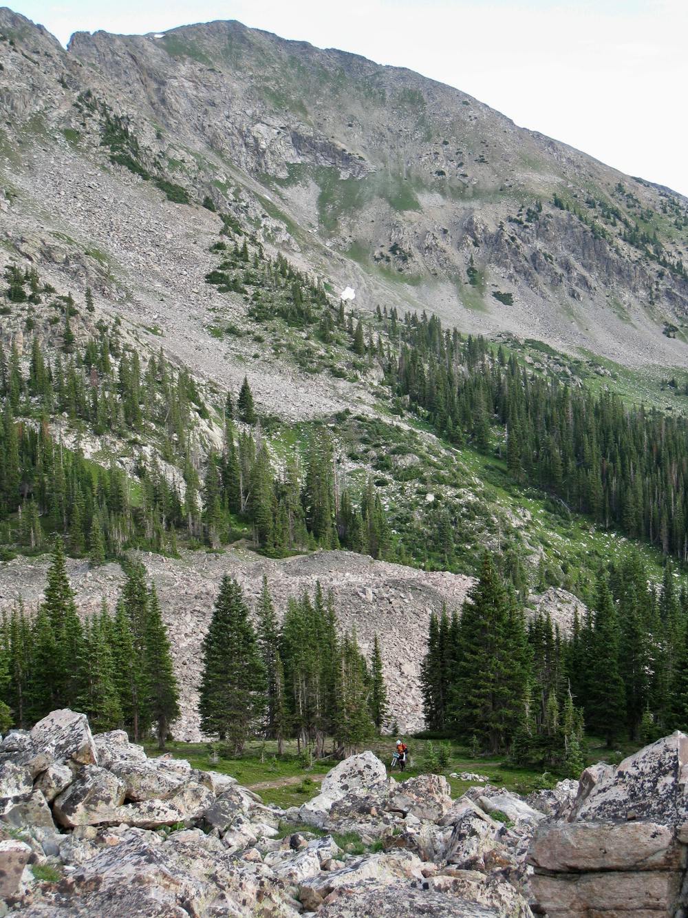 Photo from Colorado Trail: Miner's Creek Segment