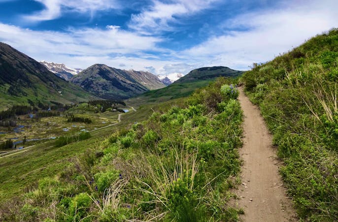 Run the Elks: Crested Butte’s Best Trail Running Routes