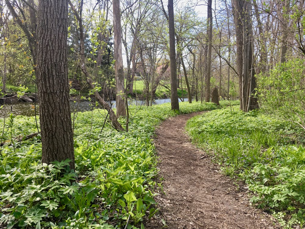 Photo from Tosa Trails