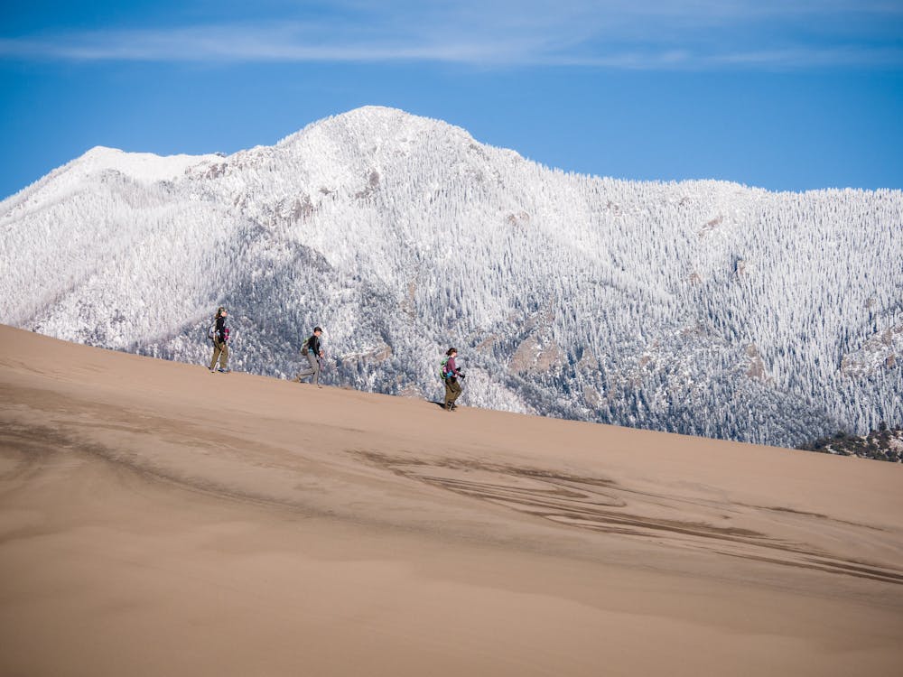 Winter at the sand dunes can bring a different kind of beauty.