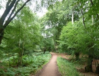 Epping Forest Centenary Walk