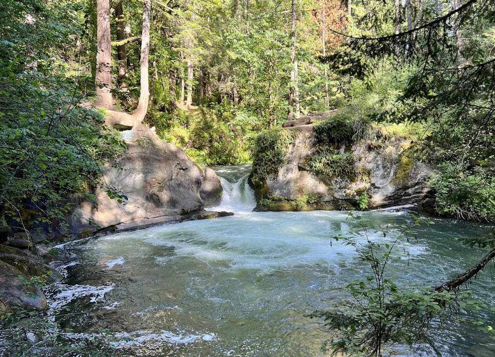 Photo from Whatcom Falls