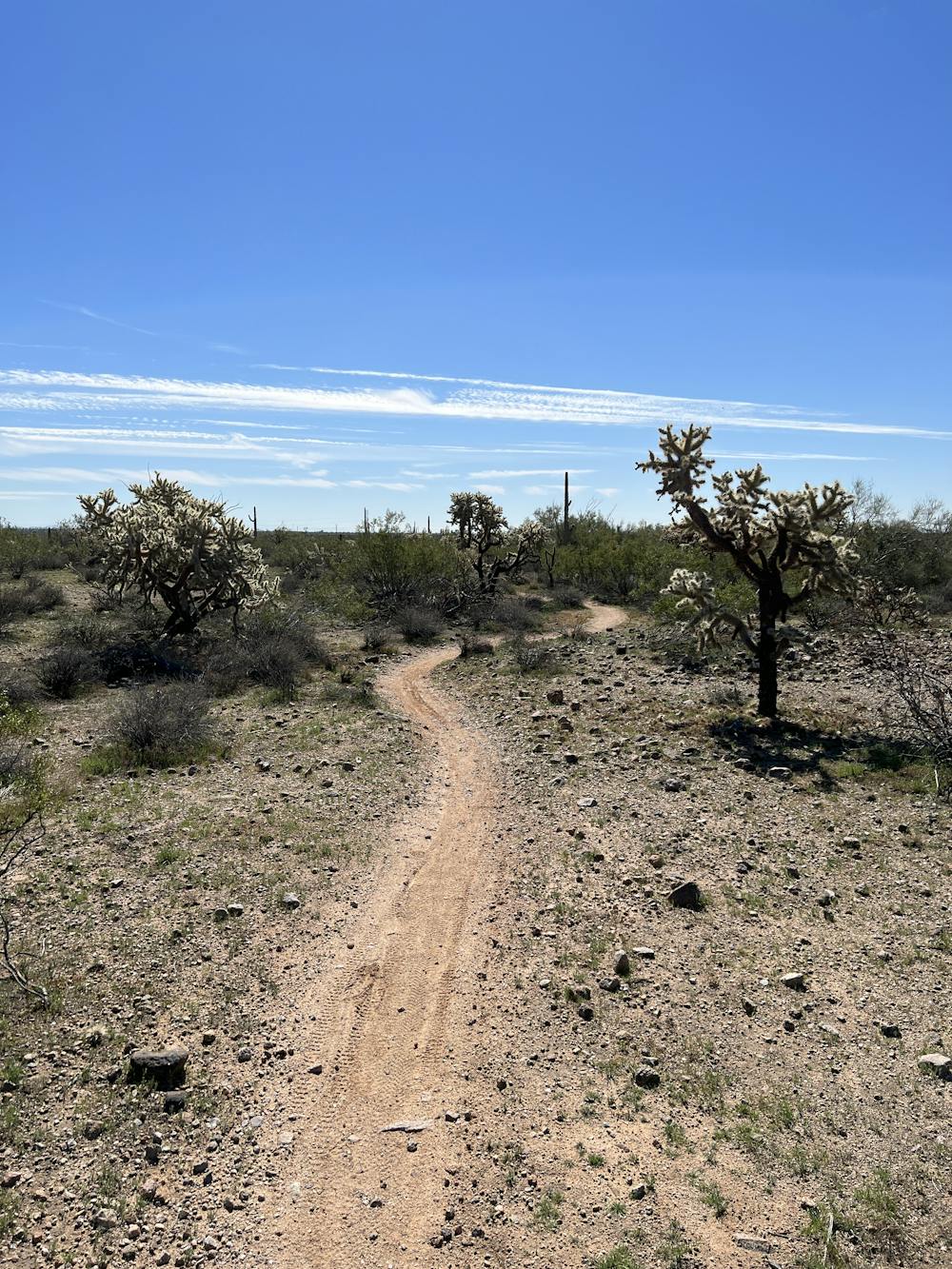 Photo from Usery Mountain Park: Easy Loop