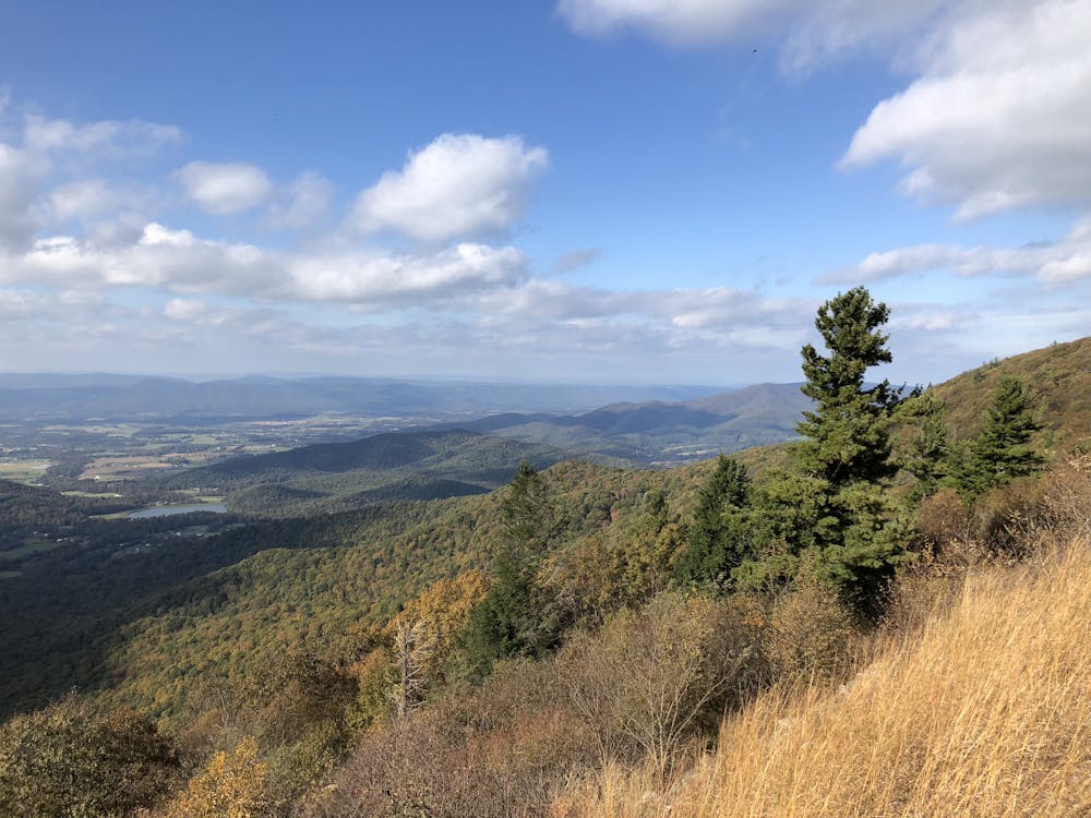 View NNW from Stony Man Mountain Overlook on Skyline Drive