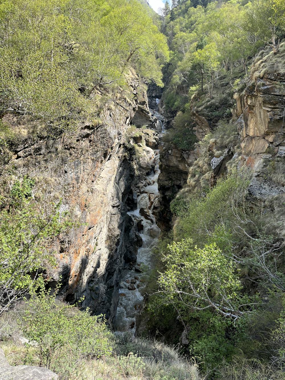 Photo from Rudugaira Canyon Run