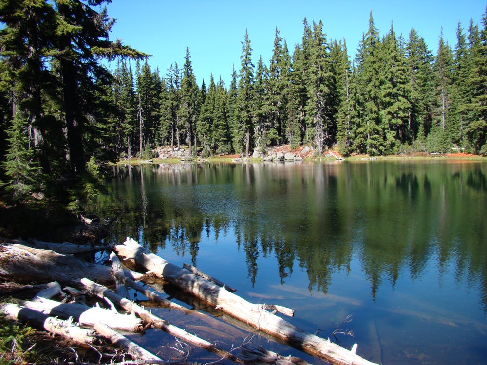 A small lake in the Three Sisters Wilderness
