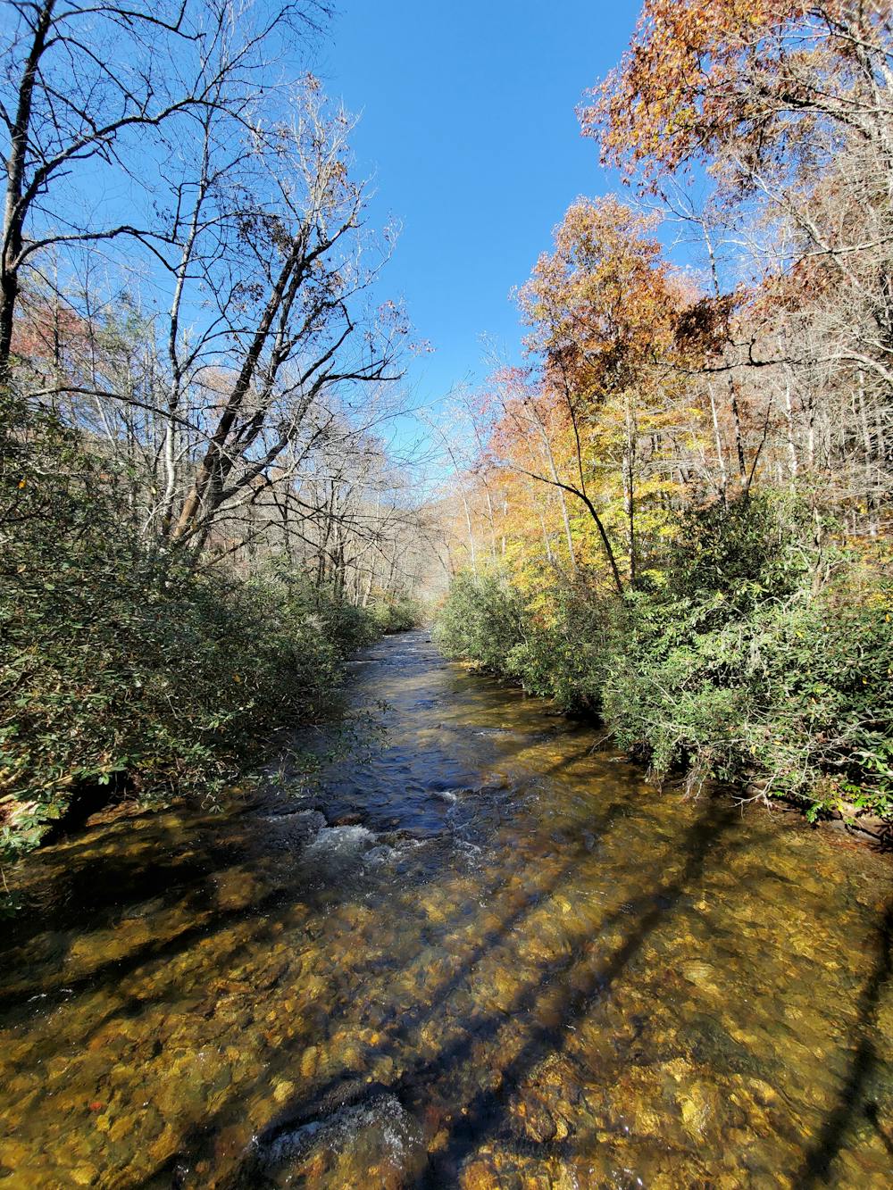 South Mills River