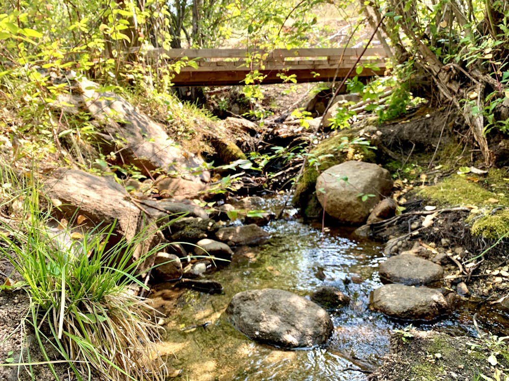 The spring-fed creek flows year round