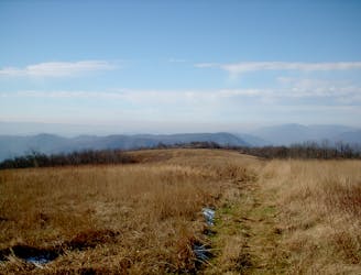 Appalachian Trail: I-81 to I-77