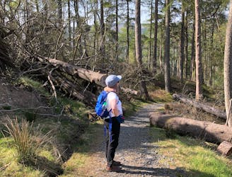 Loch Trool Circular Trail