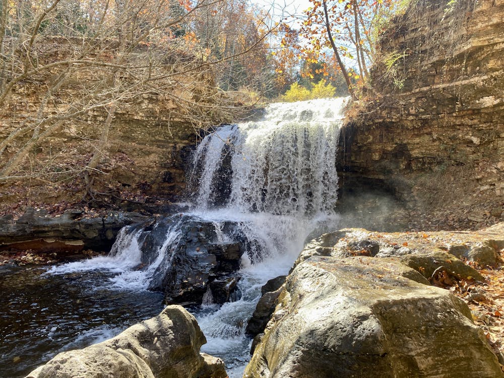 Photo from Tanyard Creek Falls