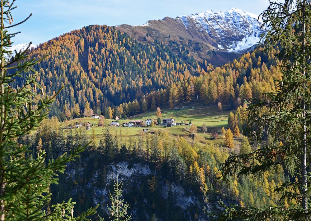 Jenisberg village in autumn colours