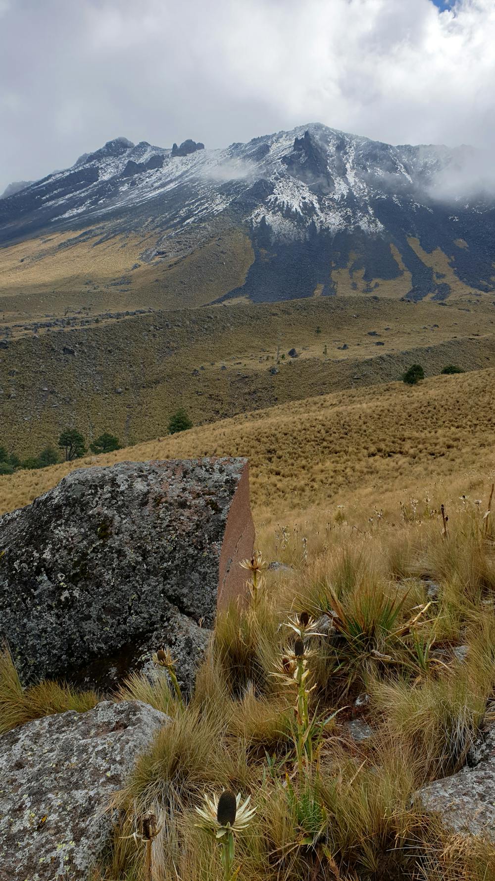 Photo from Nevado de Toluca
