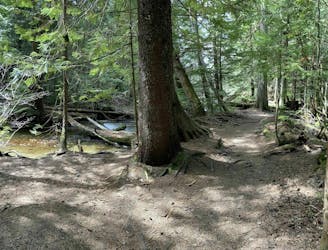 Lost Lake Nature Trail