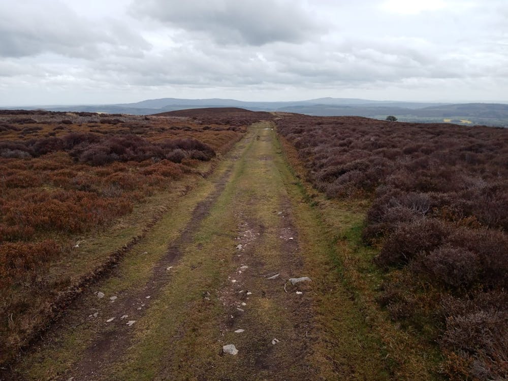 Typically wild and desolate terrain on the journey across the Long Mynd.