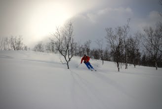 E8 Overgård to Oteren tree skiing
