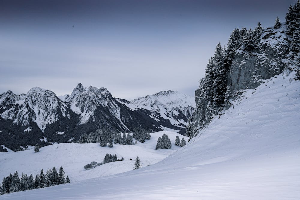 Photo from Snowshoeing hike to Les Monts Chevreuils